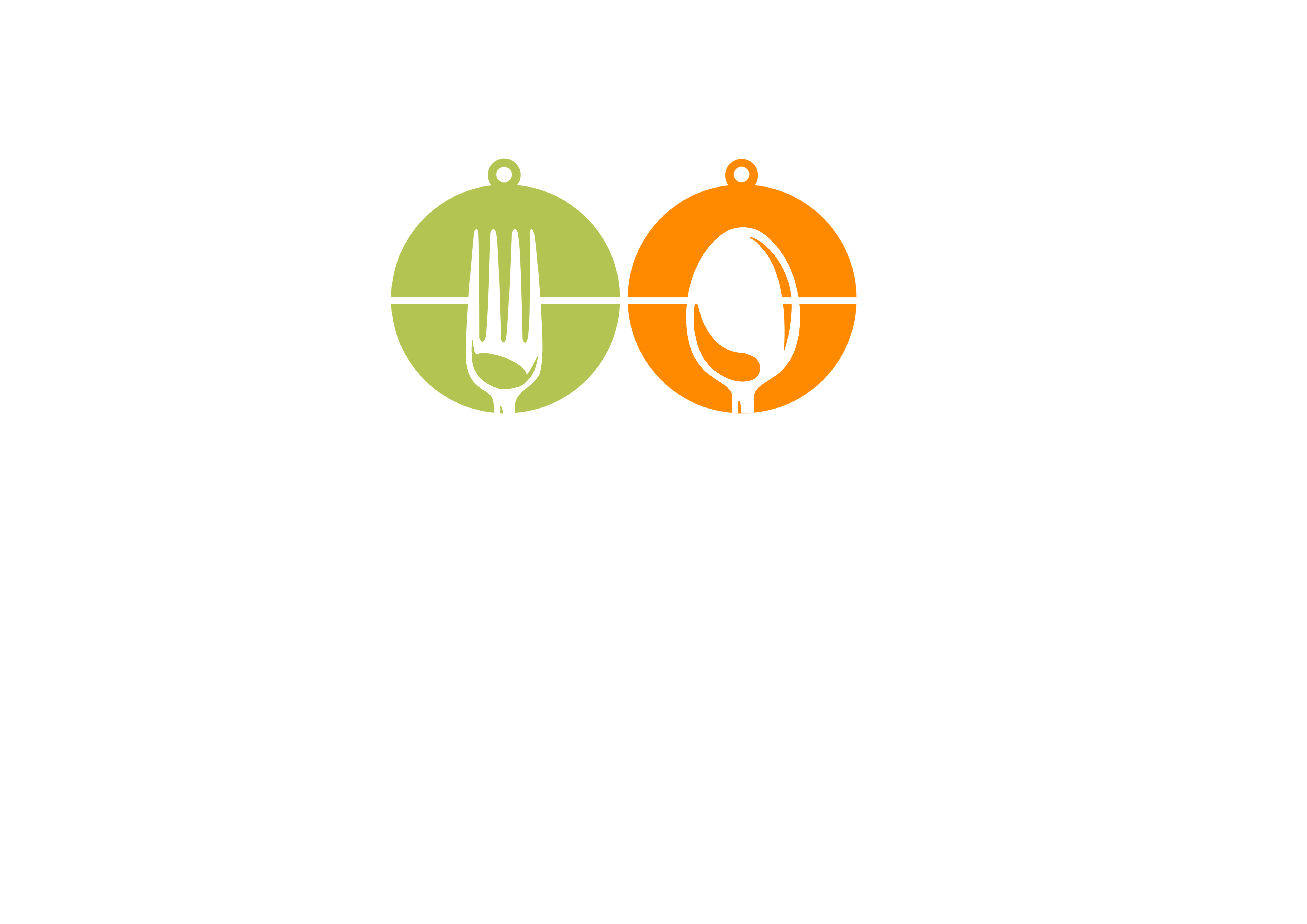 FoodSwing Enterprises